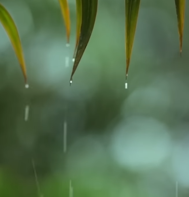 听雨睡眠,最适合睡觉的雨声有声小说