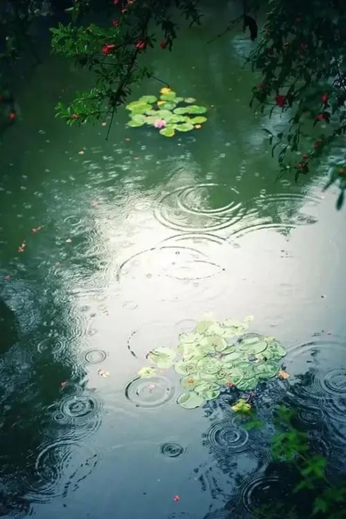 轻松的音乐和轻柔的雨声有声小说