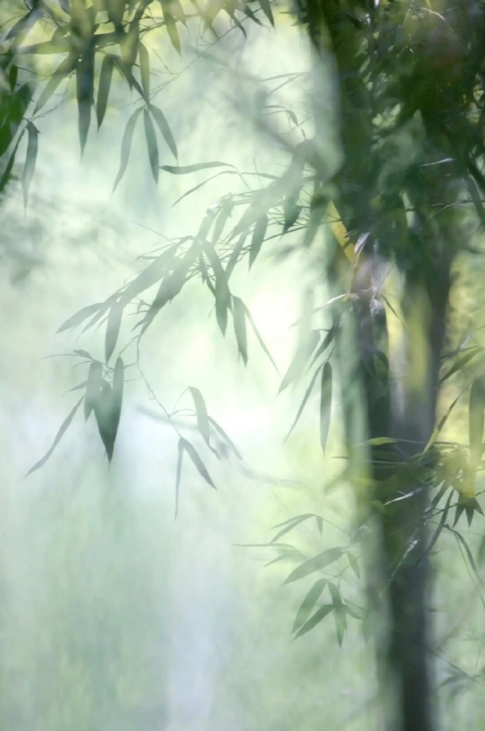 中国古典纯音乐减压有声小说