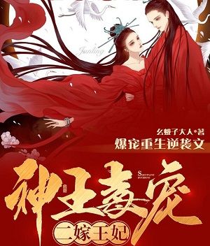 神王毒宠:二嫁王妃