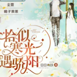 恰似寒光遇骄阳