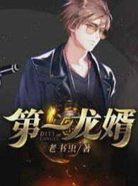  第一龙婿