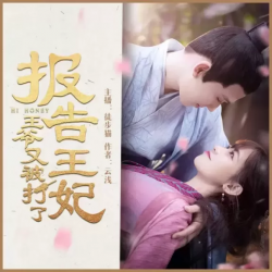 报告王妃:王爷又被打