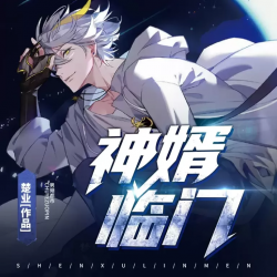 冰山女总裁的神医赘婿