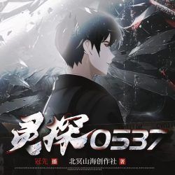 灵探0537