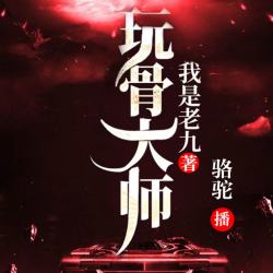 玩骨大师有声小说